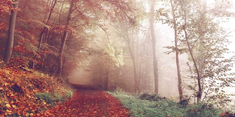 青岛中山路复兴计划：百年老街的味觉记忆、里院烟火与新生业态全攻略