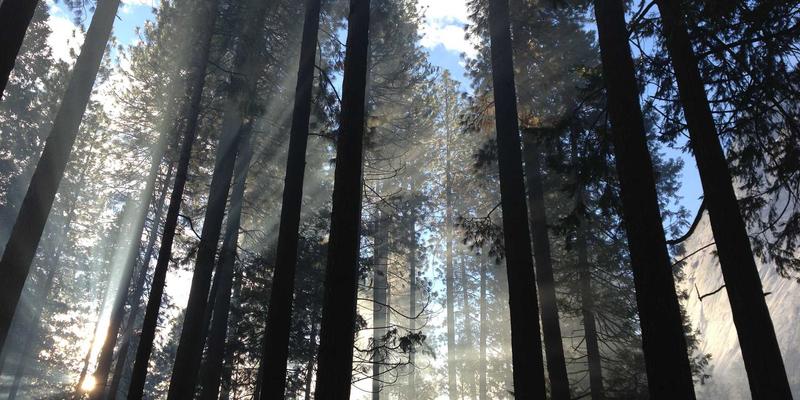 青岛八大关：漫步万国建筑博览，探寻名人故居里的城市记忆