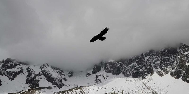 青岛灵山岛深度游：徒步中国北方第一高岛，解锁海钓、渔家乐与地道海鲜全攻略