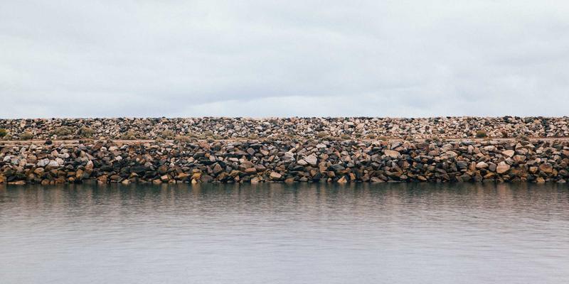 青岛胶州湾国家海洋公园潮间带探秘：解锁城市后花园的生态课堂与赶海奇趣