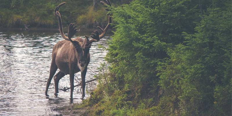 青岛胶州艾山徒步攻略：探秘火山遗迹与东西奇石，解锁地质奇观与乡村美食之旅